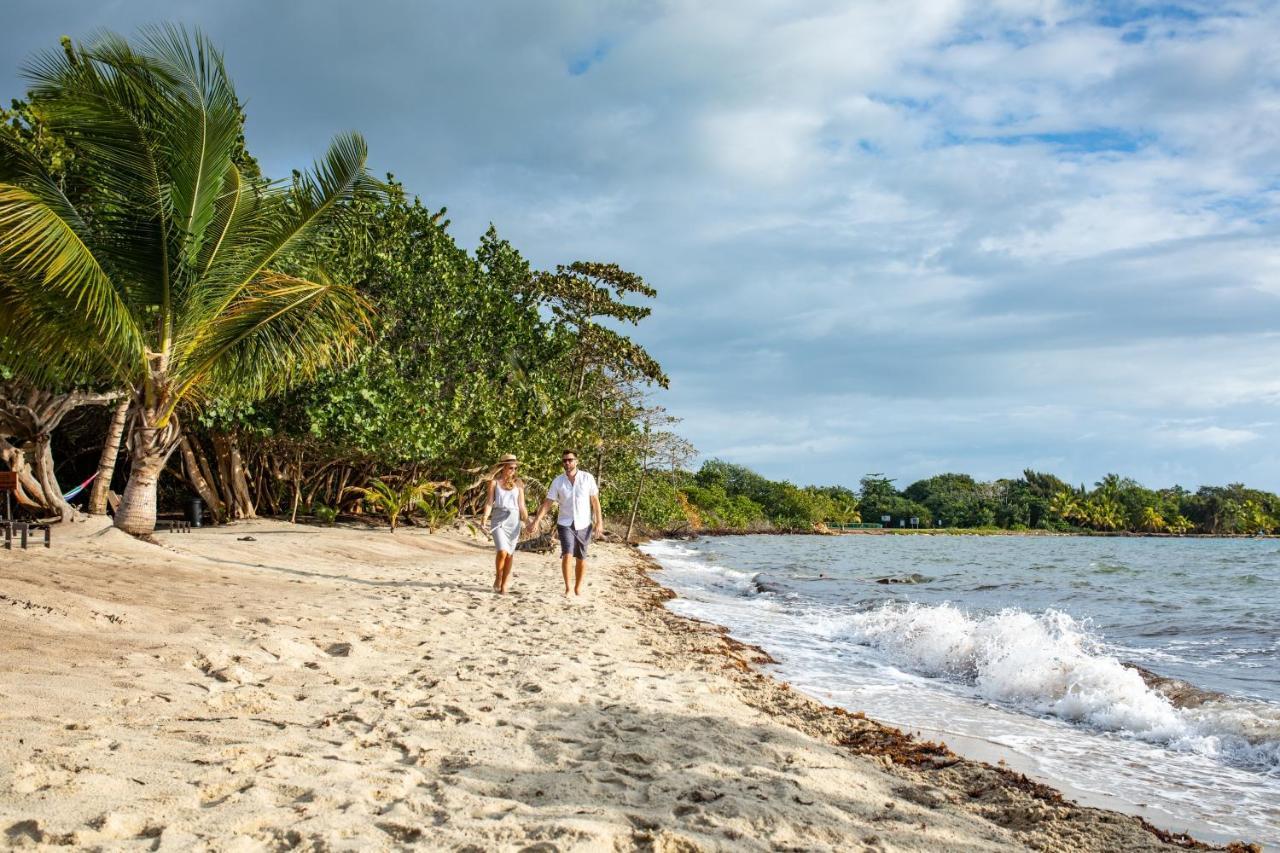 Placencia Mariposa Belize Beach Resort מראה חיצוני תמונה